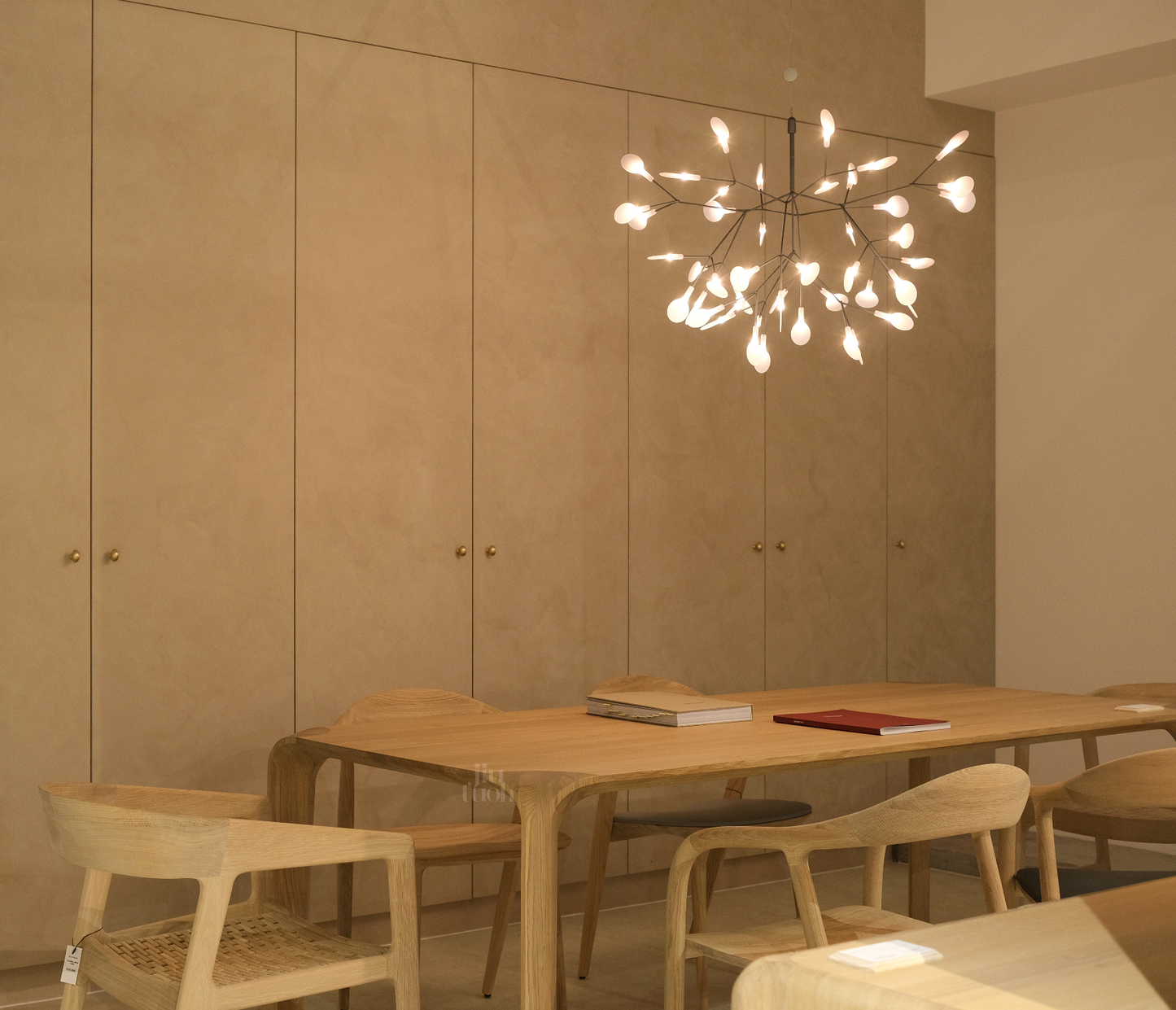 HERACLEUM II 吊燈