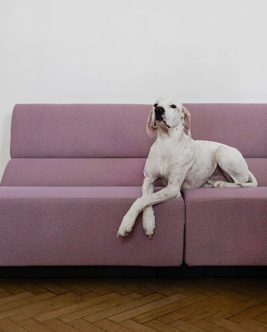 LAYOUT SOFA