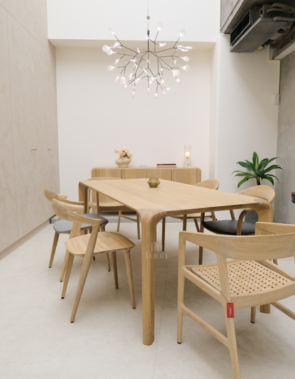 HERACLEUM II 吊燈