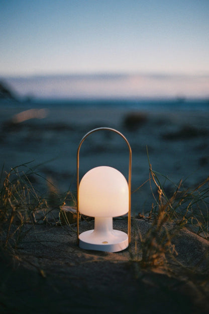 FOLLOW ME PORTABLE LAMP